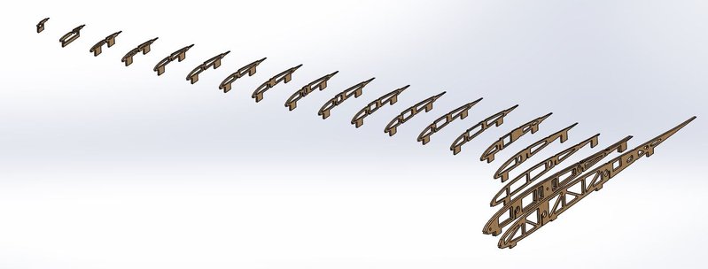 Rippen mit füßen.JPG