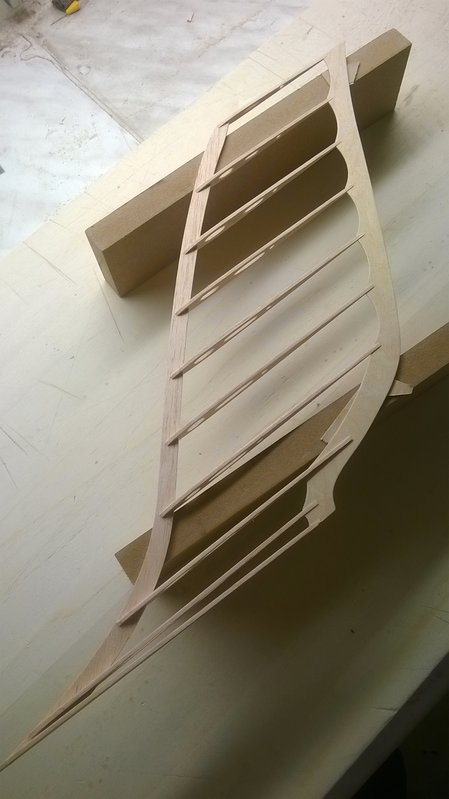 Rippen zusammengesteckt.jpg