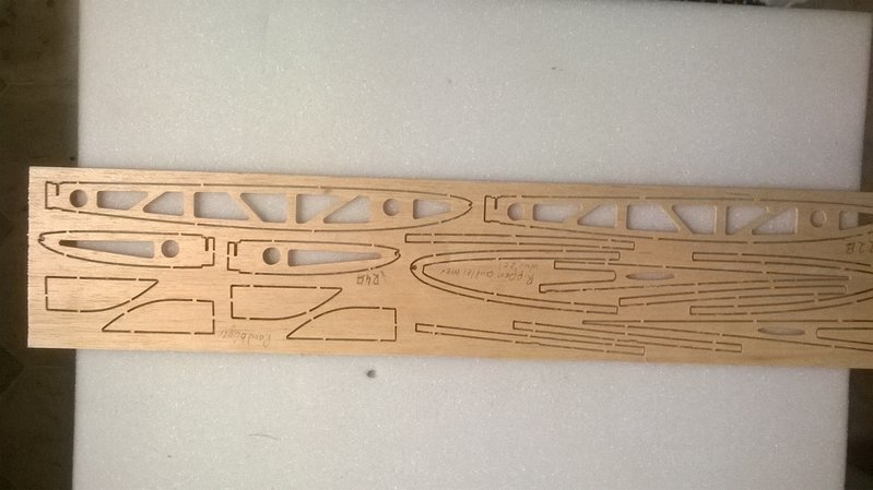 2 Rippenaufleimer Wurzelrippe.jpg