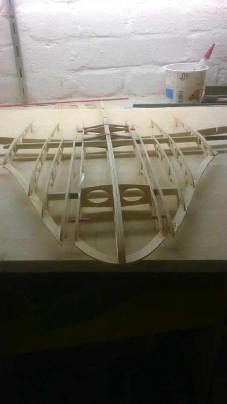 18 Mittelteil mit Anschlussrippen und Holm.jpg