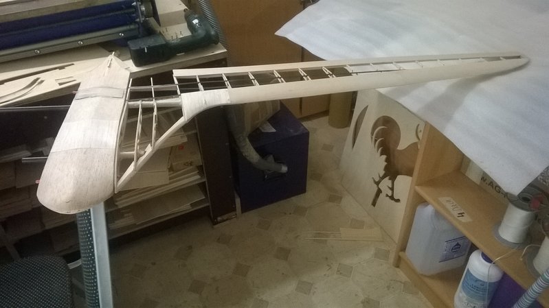 42 Halber Flieger mit Mittelteil.jpg