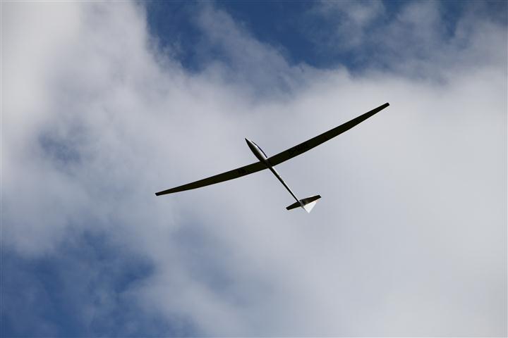 IMG_4727 (Klein).JPG