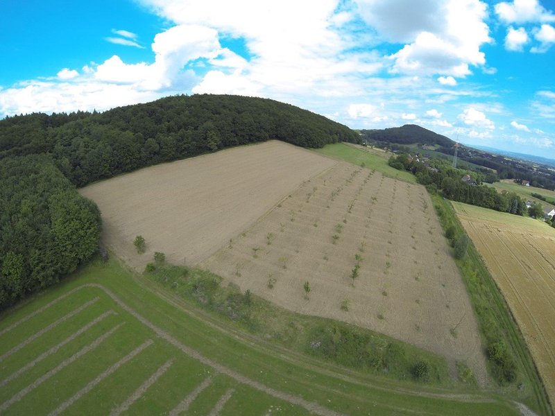 2014 07 02 Walluecke 446.jpg