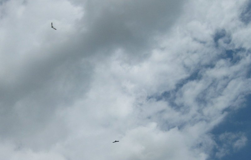 KleinIMG_0266 geschnitten.jpg