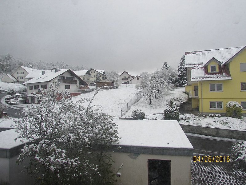 Klein_IMG_7016.jpg