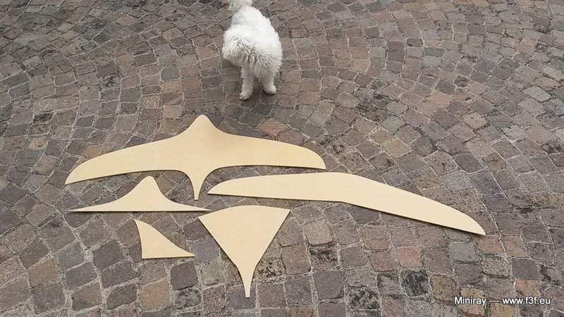 2016-08-21 13.53.51.jpg