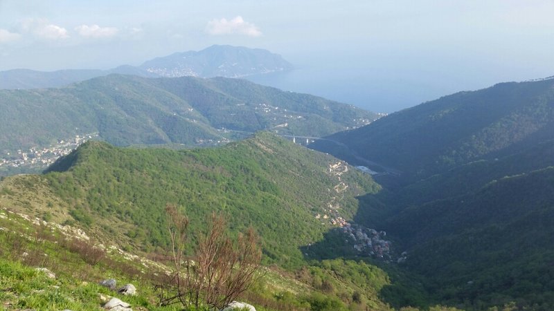 2017-04-15 22.08.10.jpg