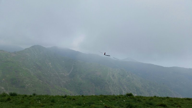 2017-04-15 22.07.49.jpg