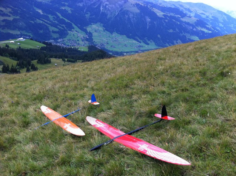 2 x Needle am Lavey.jpg