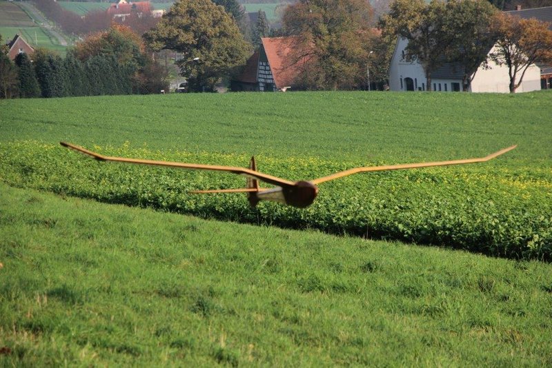 2017 11 04 Stiegker 031.jpg