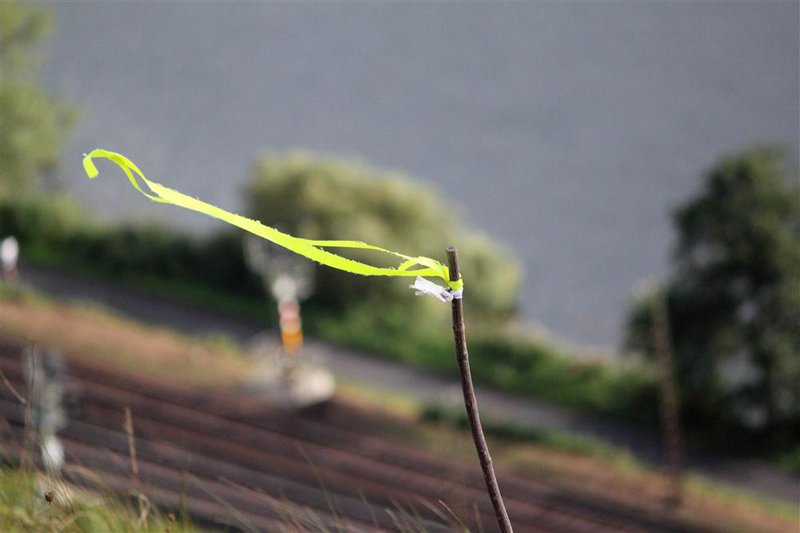 IMG_6829 (Individuell).JPG