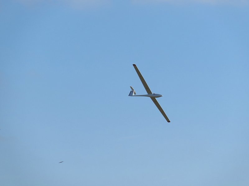 Klein_IMG_7706.jpg