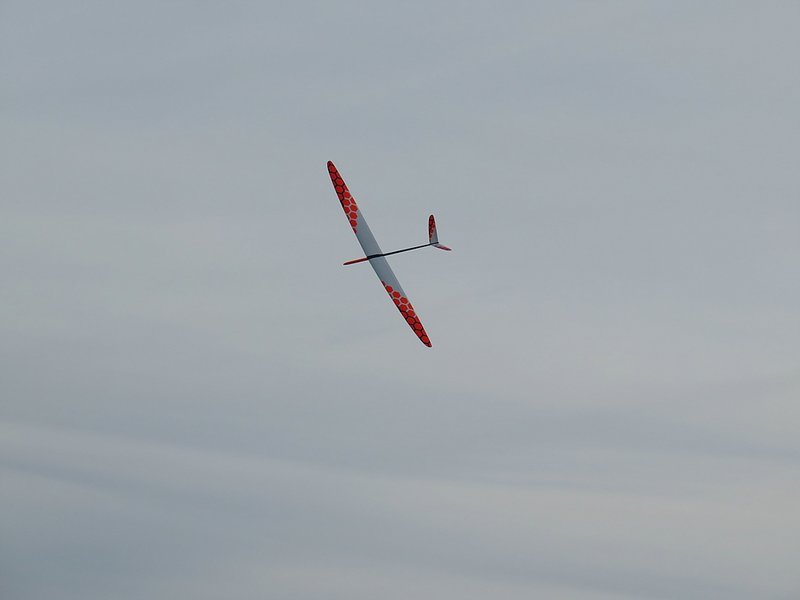 Klein_IMG_0694.jpg