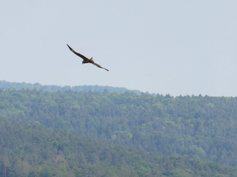 Klein_IMG_2858 - Kopie.jpg