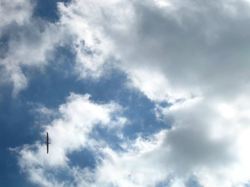 Elmars Eigenbaubrett