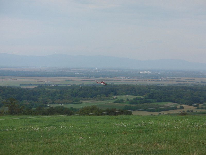 ...die hatten´s eilig!