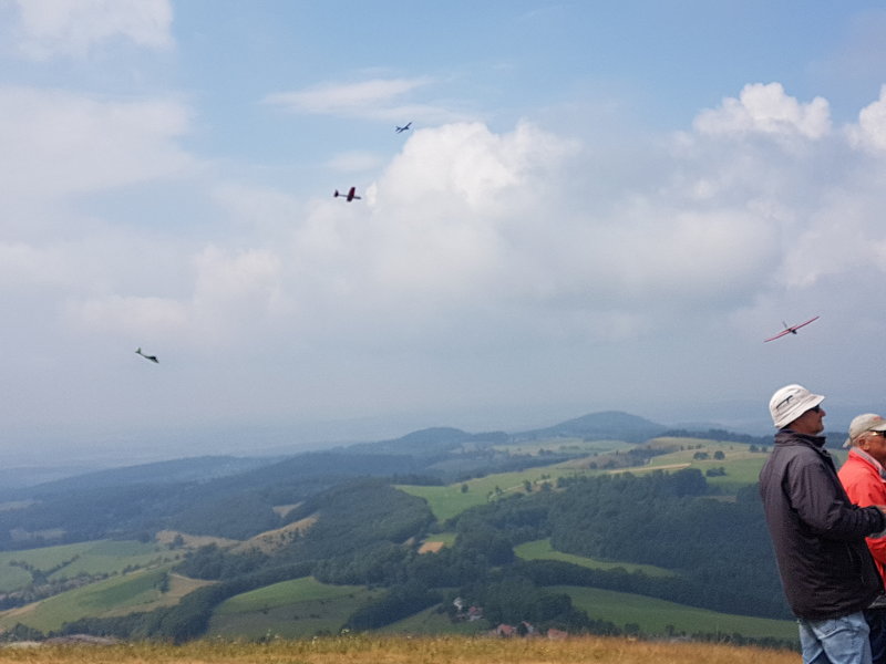 20190803_142824.jpg