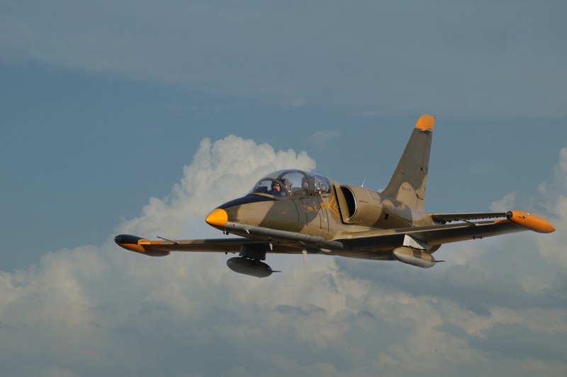931T7795_01.jpg