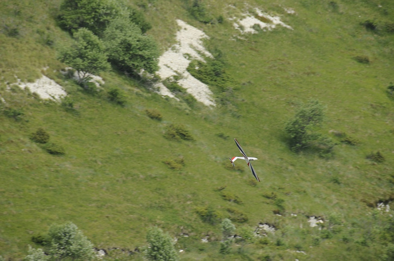 klein__DSC1279 - Kopie.jpg