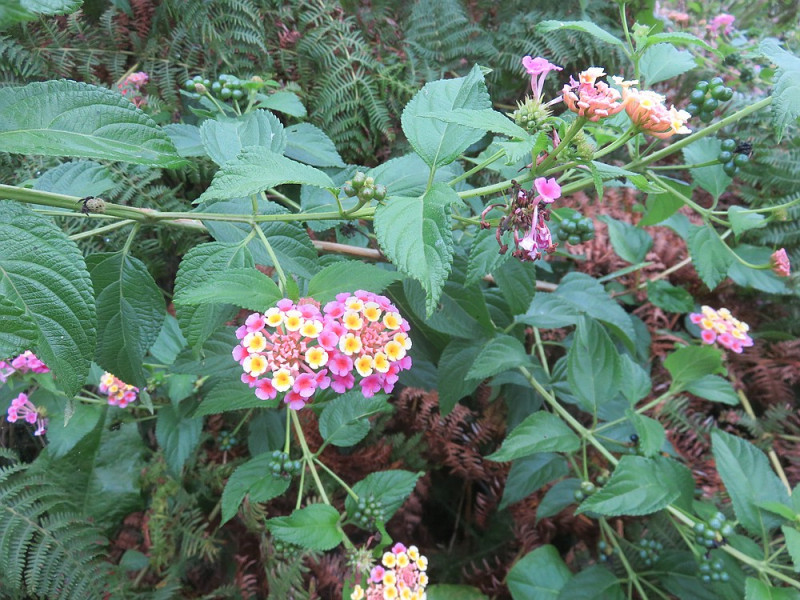 klein_IMG_1968 - Kopie.jpg