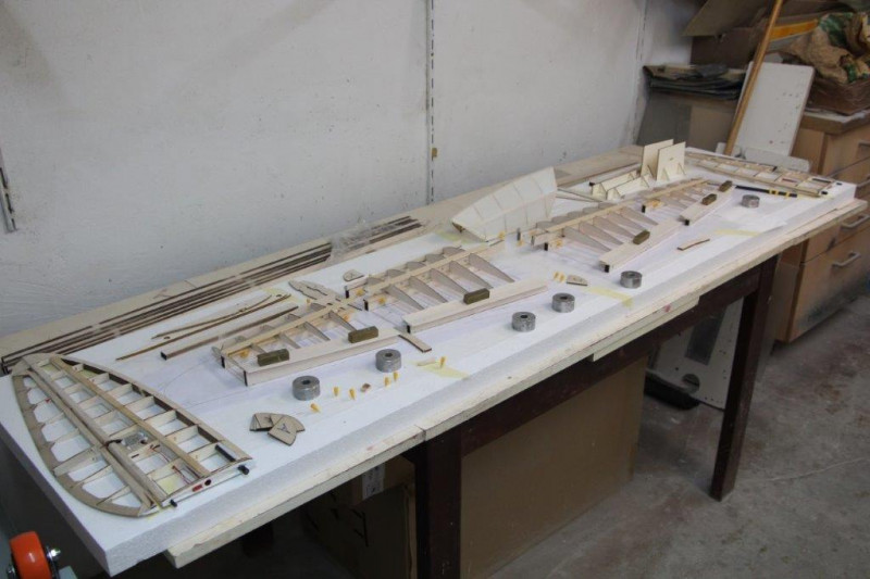 2022 02 08 Star 13 (21).jpg