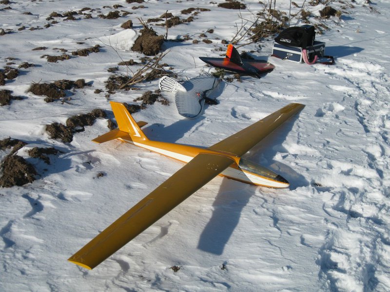 Foka, Cat-Weasel und Alula