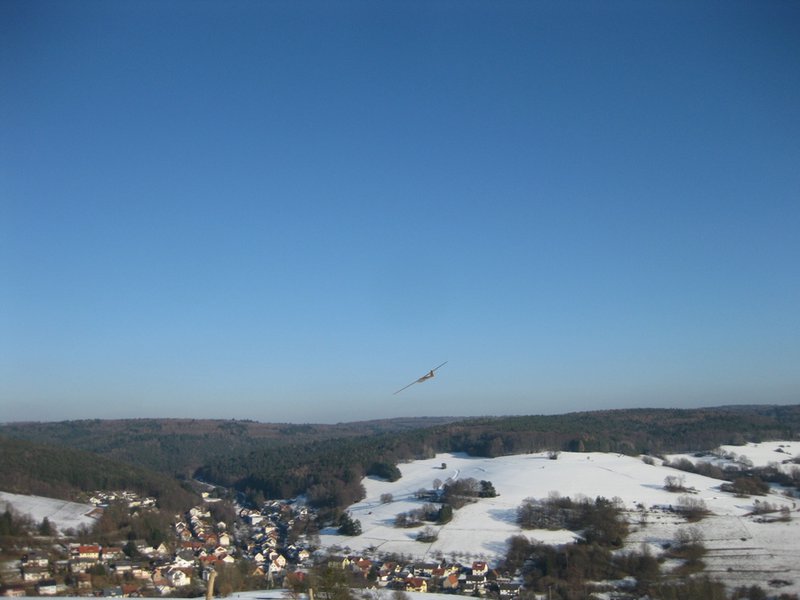 Foka nach dem Start...