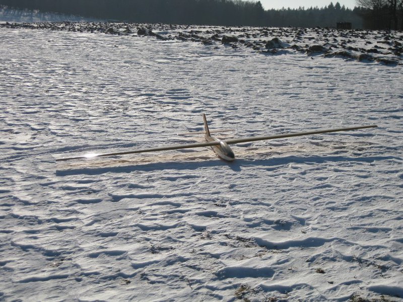 Schööööön, die Möhre