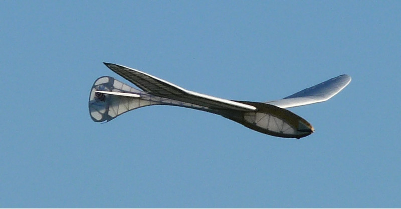 R23.jpg