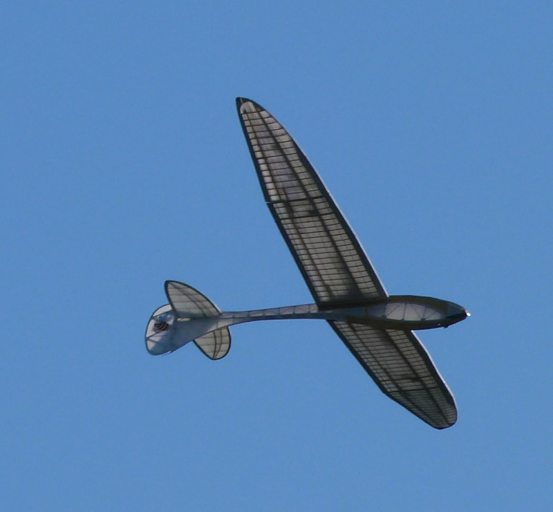 R25.jpg