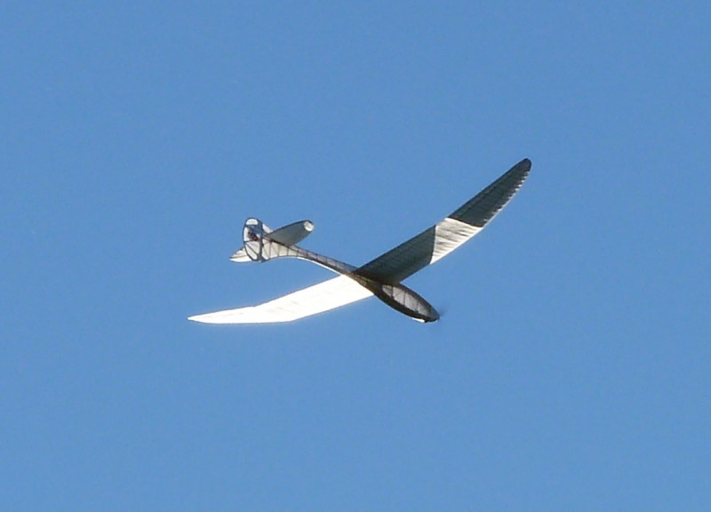 R26.jpg