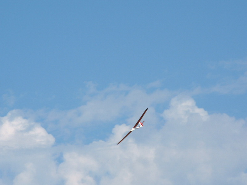 avino 095.jpg