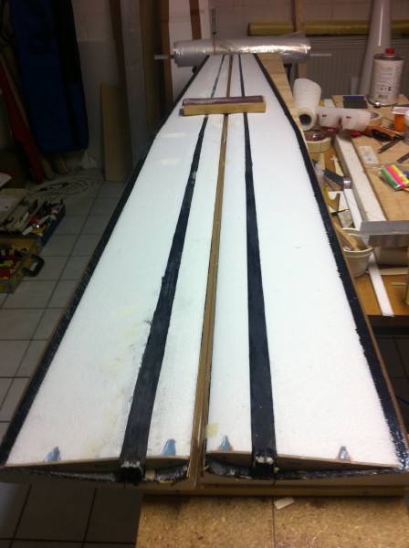 Holme fertig und Wurzelrippen eingeklebt