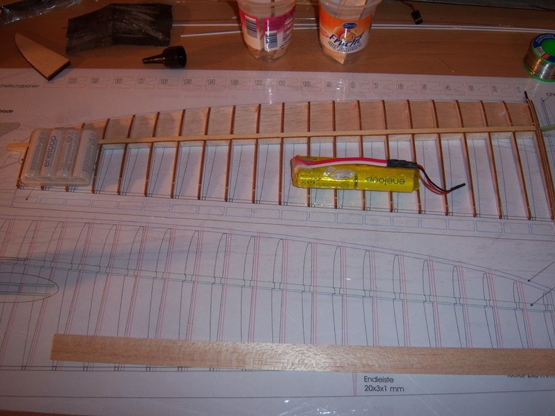 Untere Beplankung und oberer Kiefernholm angebracht