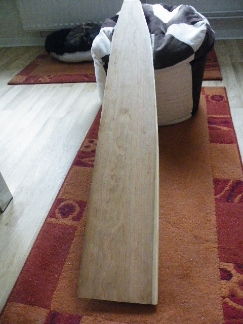 Rückseite der Fläche