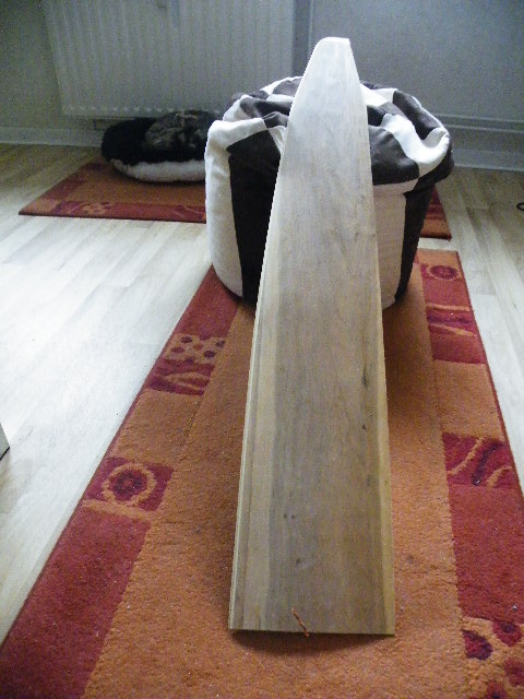 Oberseite der Fläche