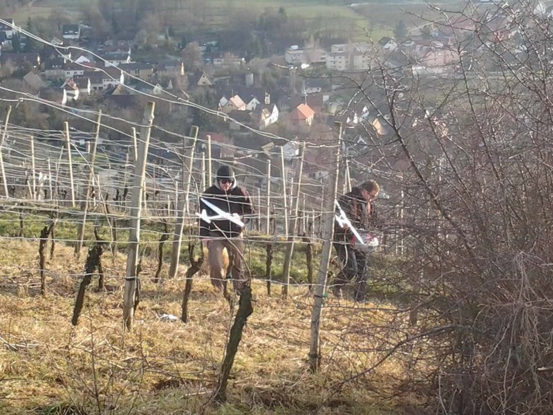 2 Kampfhähne nach zusammen stoß in der Luft