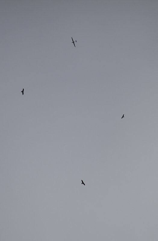 _MG_7591-Bearbeitet rrcn.jpg