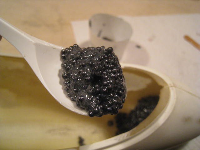 ...und so aussieht: WIE KAVIAR!!! Wie gesagt, nur vom feinsten! hihihi ;o)