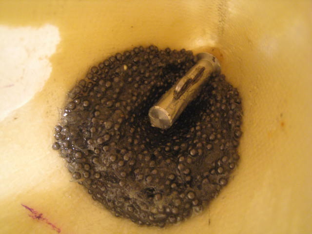 Gleichmässig und vorsichtig in der Rumpfnase verteilt, um nicht die Schleppkupplung zu verkleben.