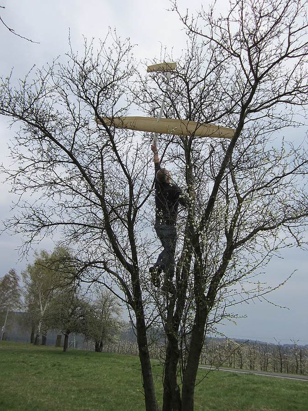Elmars Flieger wachsen auf Bäumen und müssen nur geerntet weden......