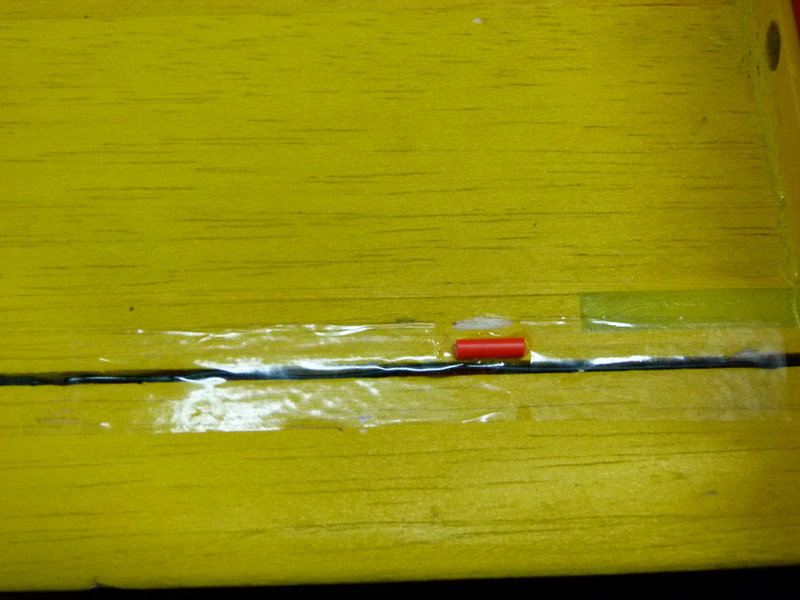 P1010521.JPG