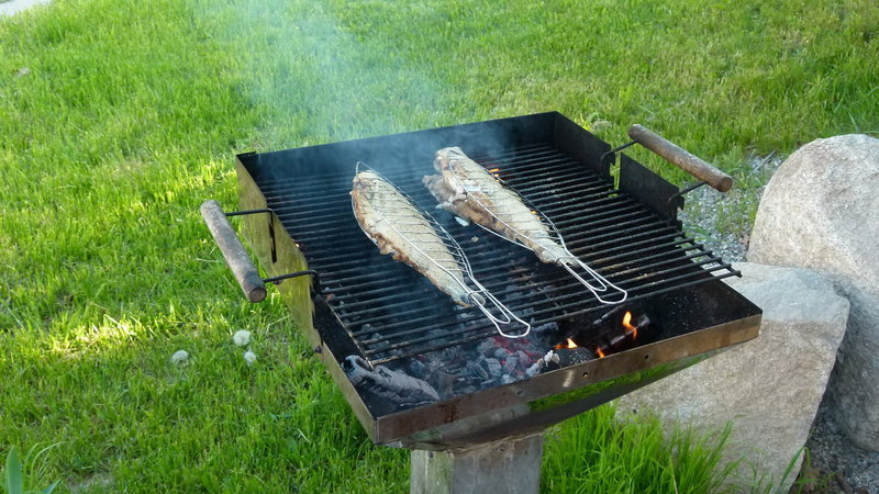 in Fischgtter praktisch vepackt gehts weiter mit dem Räucherakt