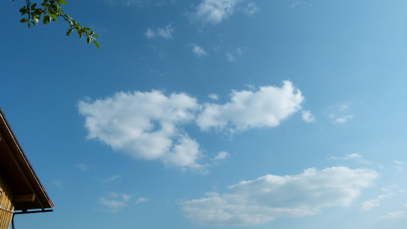 die kleinen Fransen  die nach oben zeigen um das Wölkchen herum zeigen Thermik an.