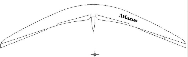 Klein120607 Attacus F3J.jpg
