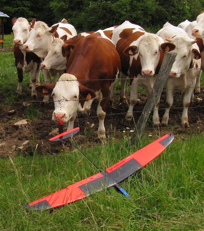 Das Fachpublikum hatte reges Interesse am SBC ;-)