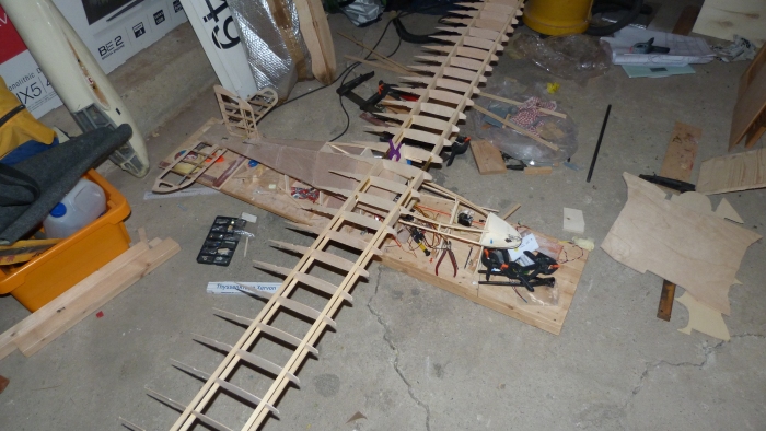 P11.jpg