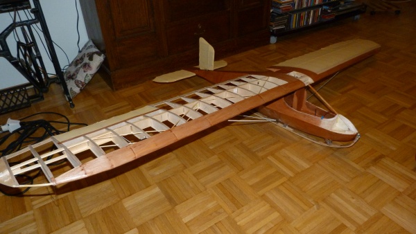 P19.jpg