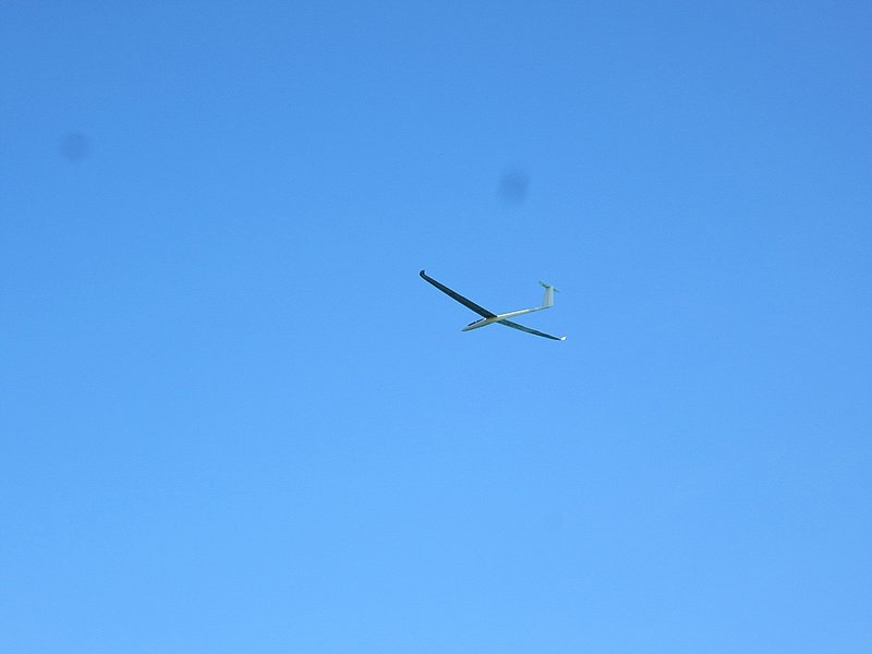 knapp 4 m Spannweite, Fluggewicht ca. 1000 Gramm, GFK-Gemischtbauweise.....