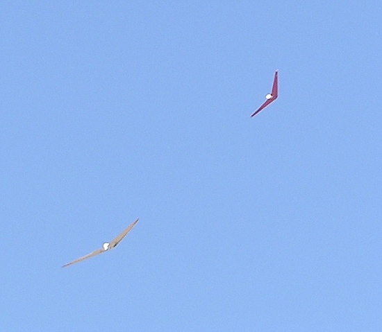 Uwes Horten IIIe und Werners Ho IV